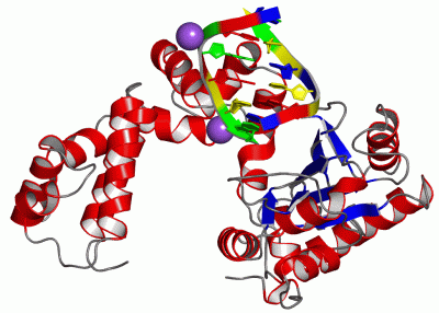 Image Asym./Biol. Unit - manually