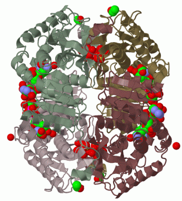 Image Biol.Unit 1 - manually