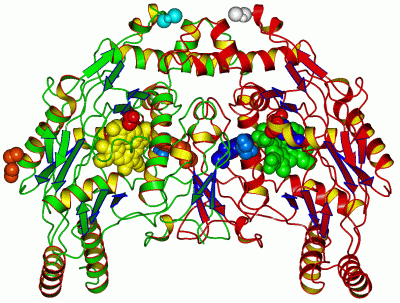 Image Asym./Biol. Unit - manually
