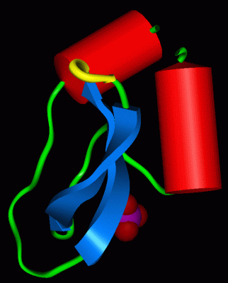 Image Asym./Biol. Unit - manually