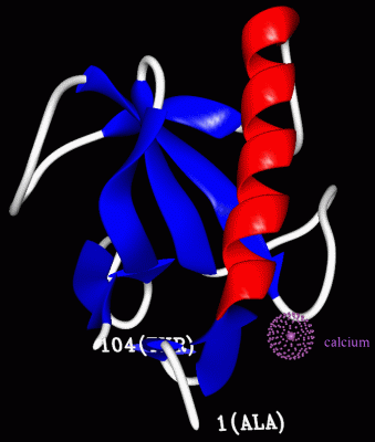 Image Asym./Biol. Unit - manually