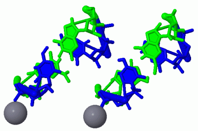 Image Asym./Biol. Unit - manually