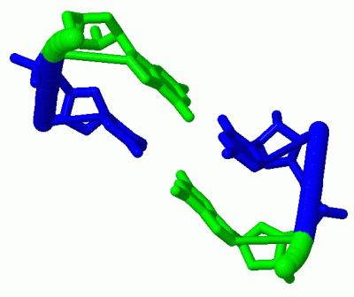 Image Biol.Unit 1 - manually