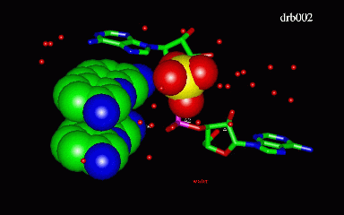 Image Asym./Biol. Unit - manually