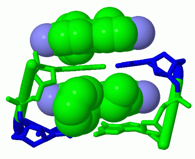 Image Asym./Biol. Unit - manually