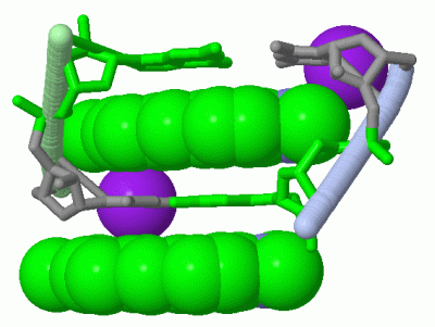 Image Asym./Biol. Unit - manually