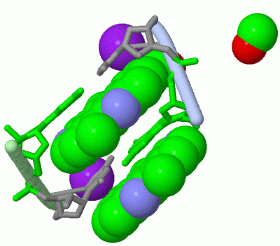 Image Asym./Biol. Unit - manually