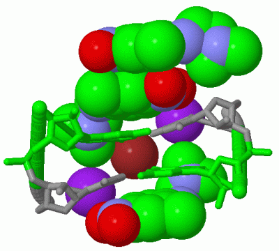 Image Asym./Biol. Unit - manually