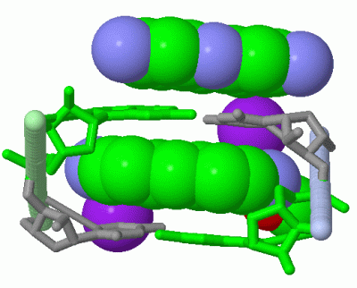 Image Asym./Biol. Unit - manually