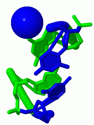 Image Asym./Biol. Unit - manually