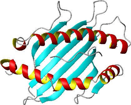 schematic representation of alpha-helices (red and yellow), beta-sheets (cyan) and turns (yellow) with MolScript