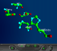 1rtu active site VRML