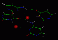 H2O UC base pairs InsightII