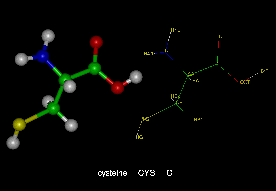 cysteine