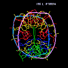 helixplot.side.small