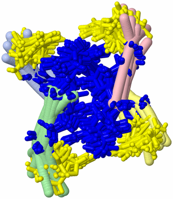 Image NMR Structure - all models