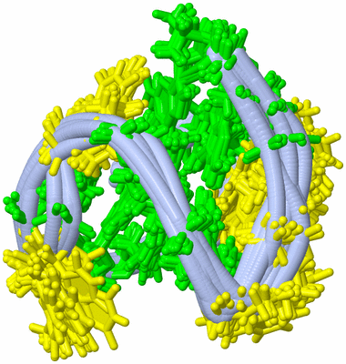 Image NMR Structure - all models