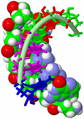 Image NMR Structure - model 1