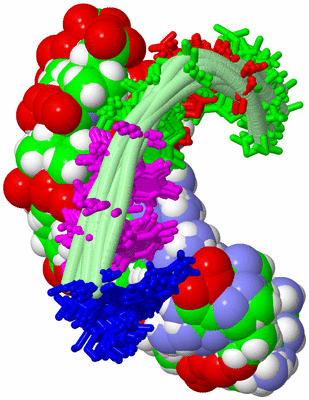 Image NMR Structure - all models