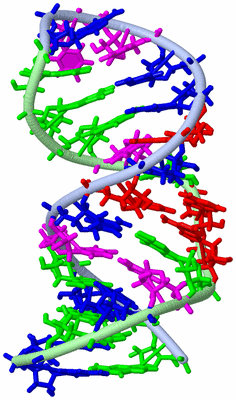 Image NMR Structure - model 1