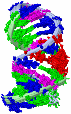 Image NMR Structure - all models