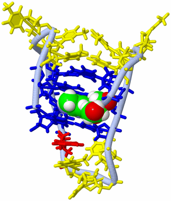 Image NMR Structure - model 1