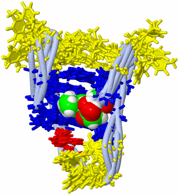 Image NMR Structure - all models