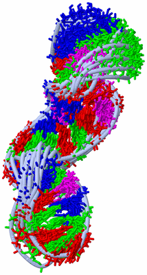 Image NMR Structure - all models