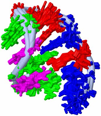 Image NMR Structure - all models