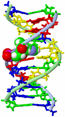 Image NMR Structure - model 1