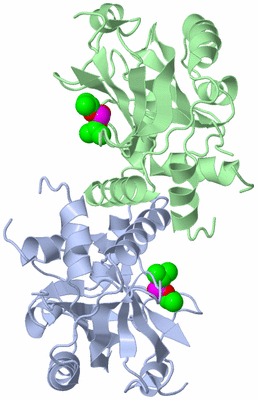 Image Biological Unit 2