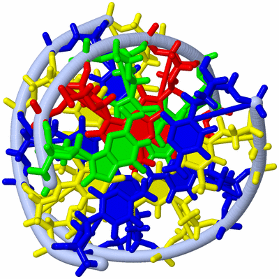 Image NMR Structure - model 1