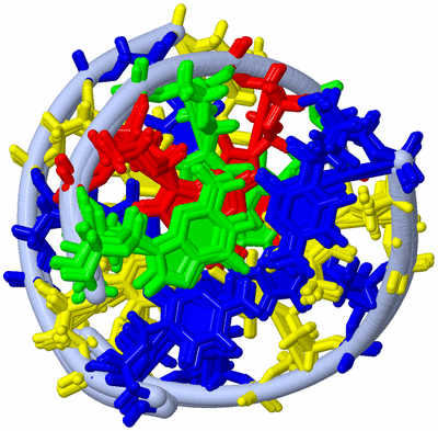 Image NMR Structure - all models