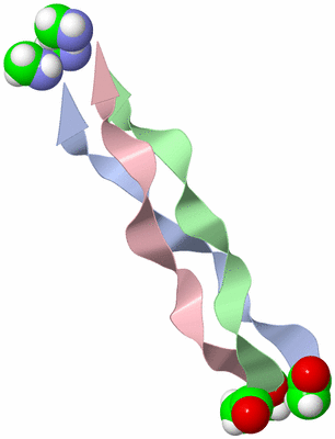 Image Theoretical Model