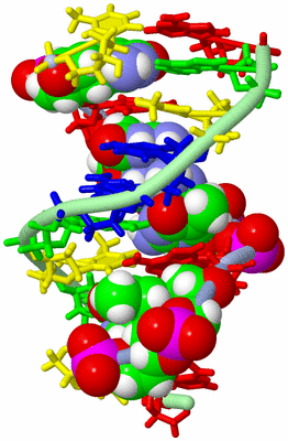 Image NMR Structure - model 1