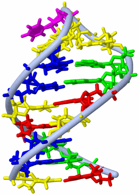 Image NMR Structure - model 1