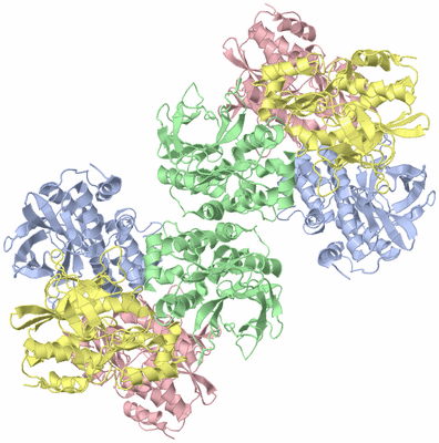 Image Biological Unit 1