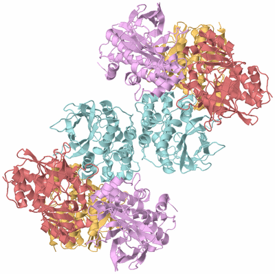 Image Biological Unit 2