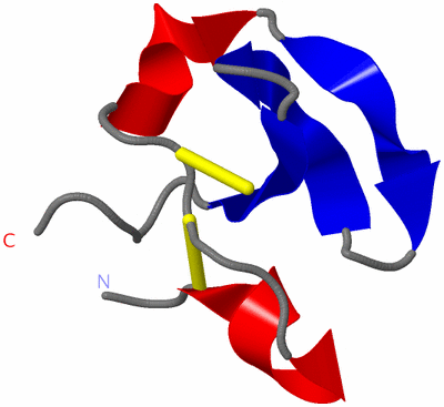 Image NMR Structure - model 1