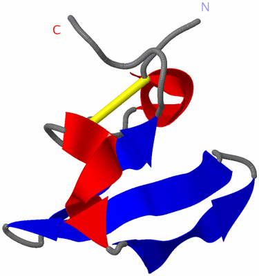 Image NMR Structure - model 1