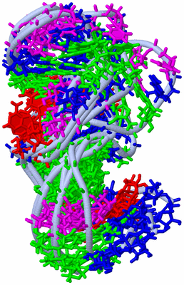 Image NMR Structure - all models