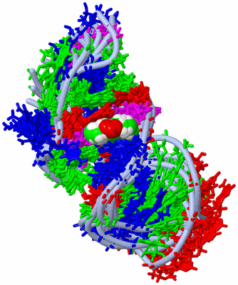 Image NMR Structure - all models