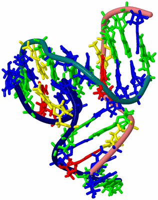 Image NMR Structure - model 1