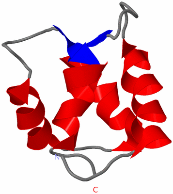 Image NMR Structure - model 1