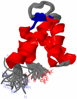 Image NMR Structure - all models