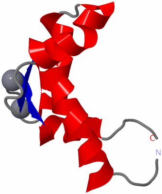 Image NMR Structure - model 1