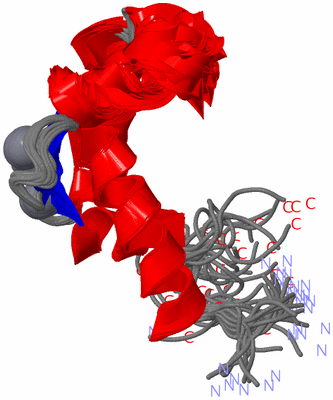 Image NMR Structure - all models