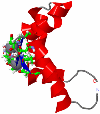 Image NMR Structure - model 1, sites