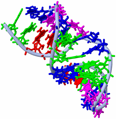 Image NMR Structure - model 1