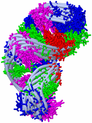 Image NMR Structure - all models